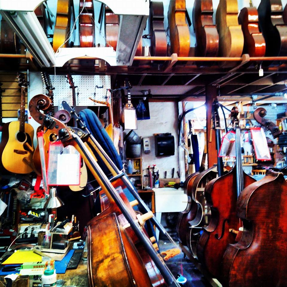 David Cage String Instruments